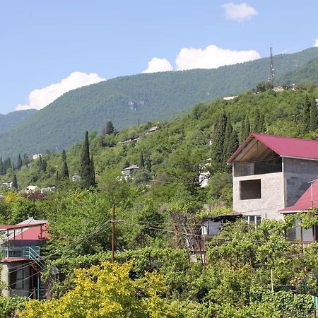 Guest House Zvanba Gagra Exteriör bild